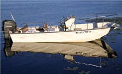 17' Boston Whaler